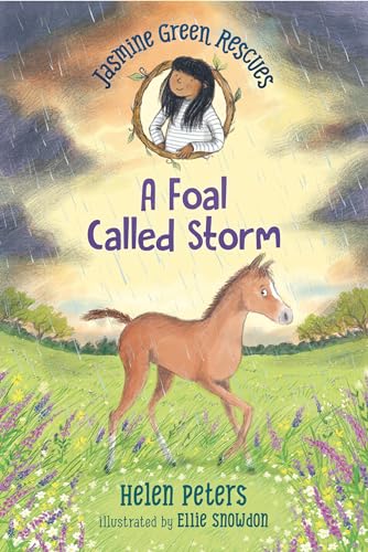 A Foal Called Storm (Jasmine Green Rescues, 8) von WALKER BOOKS